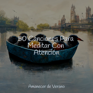 El Confort del Santuario Místico