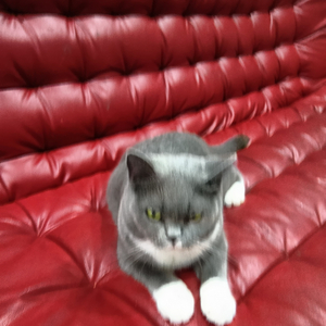 Luxury