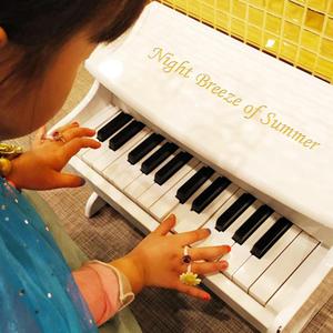 Night Breeze of Summer