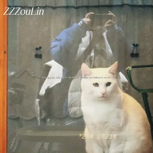 我从未到过长江南岸