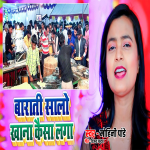 Barati Salo Khana Kaisa Laga