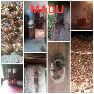 Madu