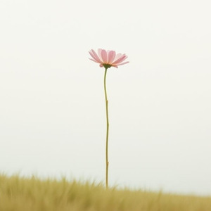 I Chose to Love Myself