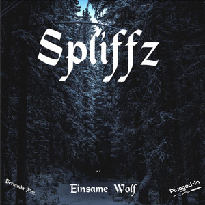 Einsame Wolf