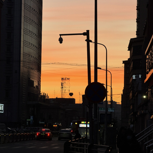 冬雪落于街灯下