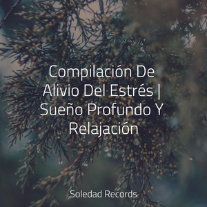 Agradar A Las Divinidades