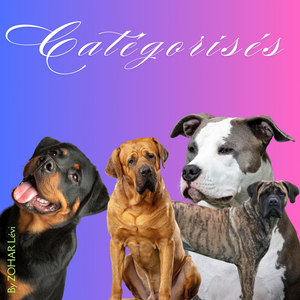 CATEGORISES