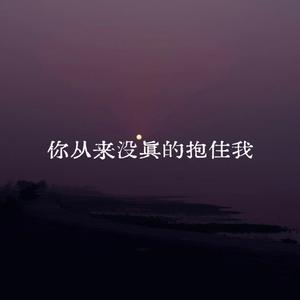 你从来没真的抱住我