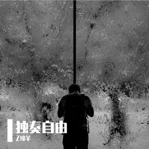 独奏自由