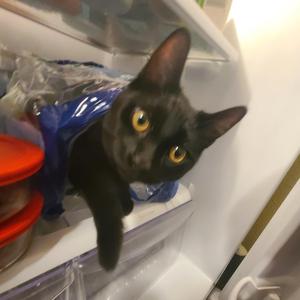 miserable (feat. xenshel & R3DQX)