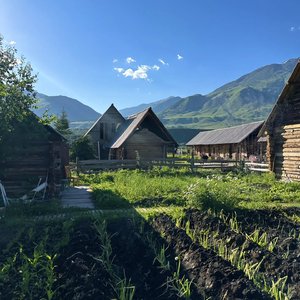 最近过的怎么样