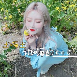 苏子孽《不必仰望别人（DJ版）》