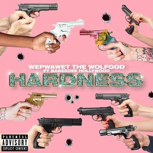 Hardness (feat. BabeeDee Hollywood)