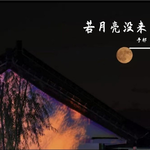 若月亮没来