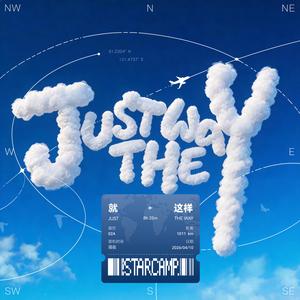 就这样（Just the Way）