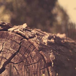 Because you are a star