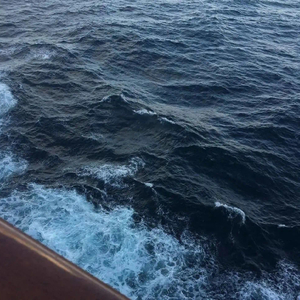 我要你【电影《驴得水》主题曲】