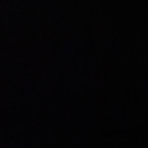 不会想起你（LIVE）