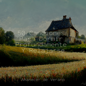 Revelando lo Invisible