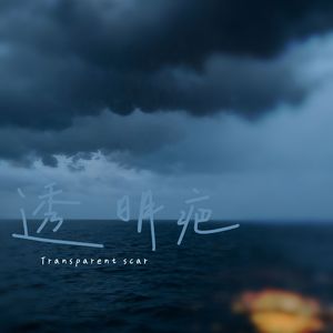 透明疤(scar)