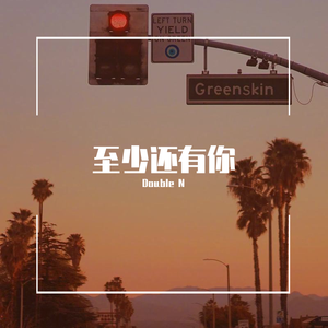 林忆莲-至少还有你（Double N remix）