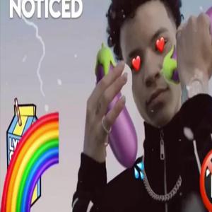 Noticed (Lil Mosey Gay Parody)