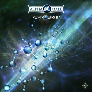 Reprogram (Original Mix)