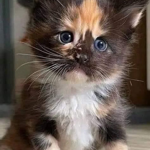 Save You a Seat (slowed)