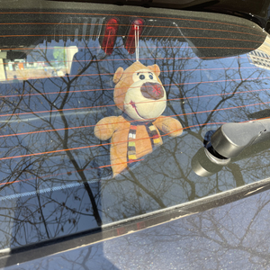 是陪伴既是惩罚