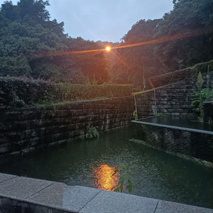 我在昨天的梦里又看见了你（covered:枯木逢春）