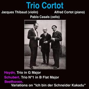 Piano Trio No. 1 in B-Flat Major, D. 898: I. Allegro moderato