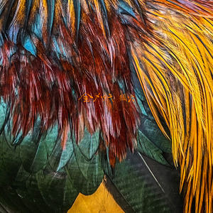 こんなもんじゃない