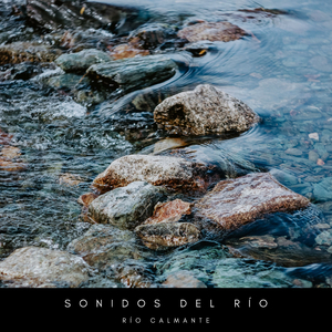 Sonido Natural De Cascadas
