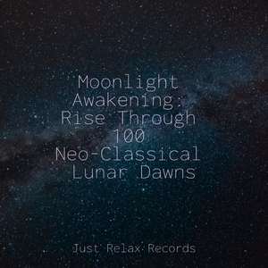 Moonlit Melancholy Maze