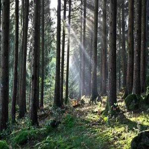 I Am Not Interested In To Be Alone