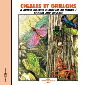 Borneo Tanjung Baluran, Savana