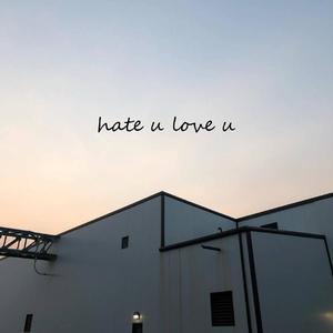 hate u love u
