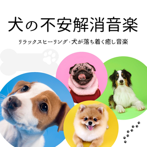 犬くつろぐ音楽