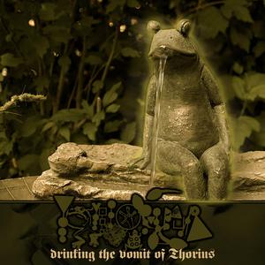 The Golden Thorius Mausolaeum (Thorius aureus)