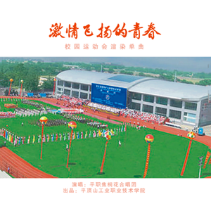 激情飞扬的青春