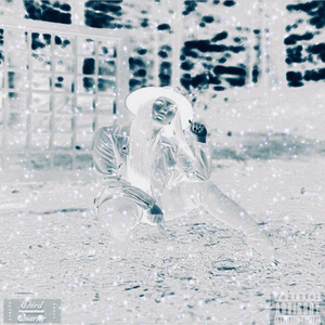 The King's Council (Spoken by Crunchy Black)