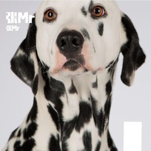 迷人的混蛋201020的AI创作-探戈8