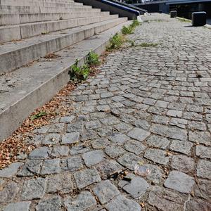 Bollhav (Alla våra bollar)