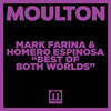 Mark Farina - Best Of Both Worlds (Acapella)