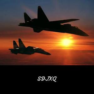 SDJXQ (DJ版)