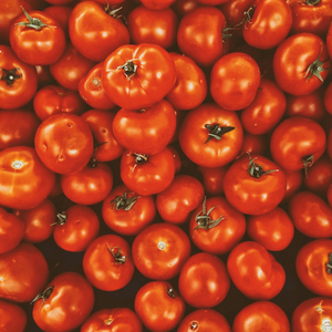 Dame mi tomate (Canción Parodia tik tok)