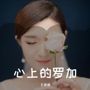 心上的罗加