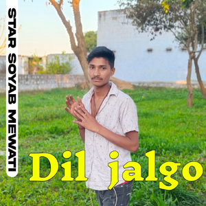 Dil jalgo
