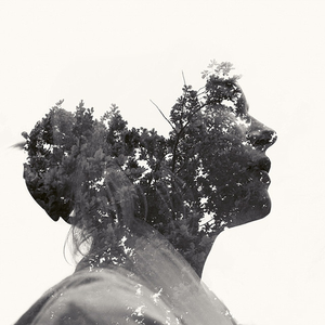 We Still Got The Northern Lights