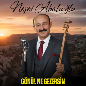 Gönül Ne Gezersin
